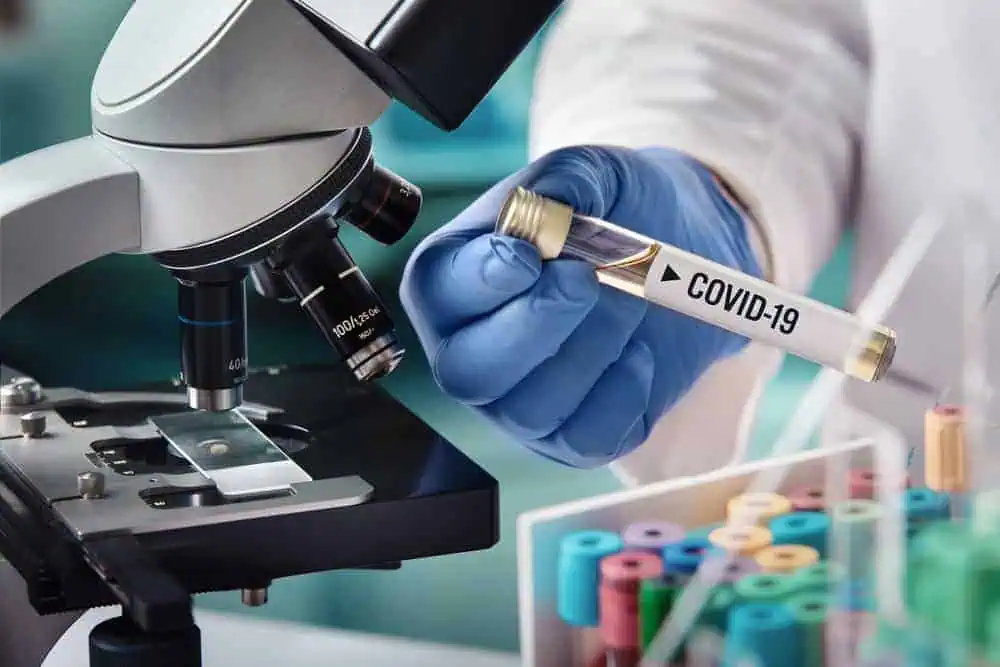 microbiologist testing tube for coronavirus