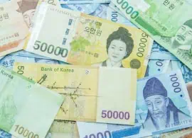 south korean won