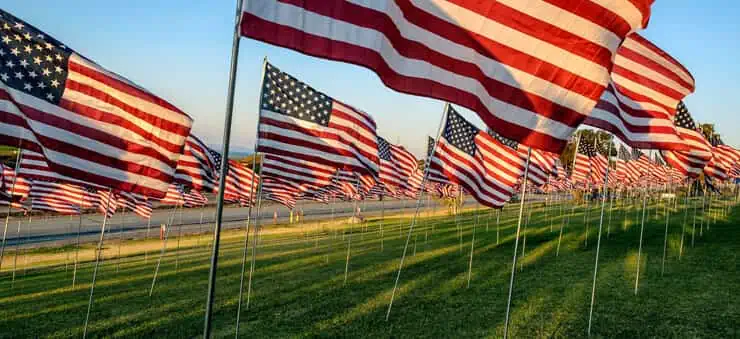 many US flags in a field