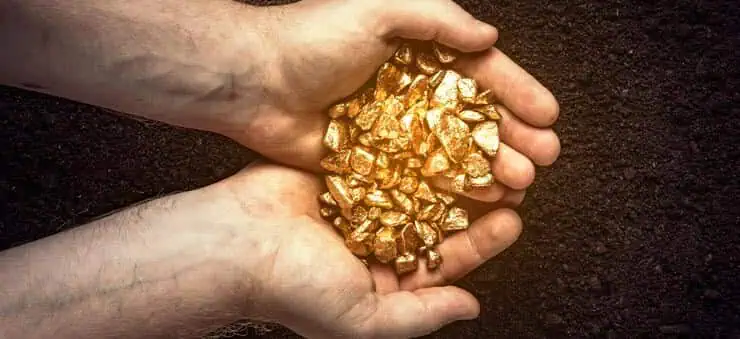 gold bits