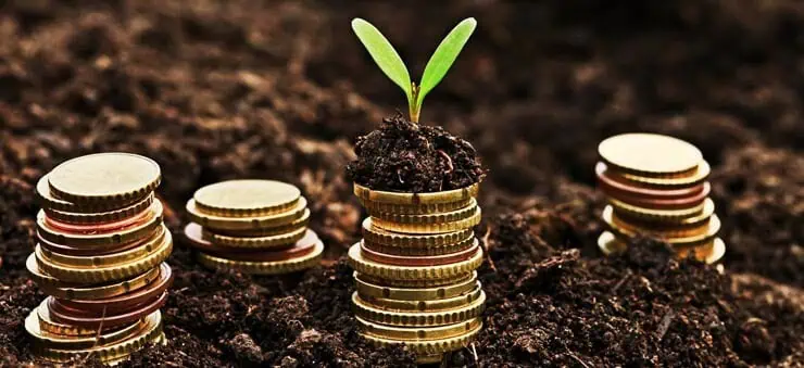 gold coins growth