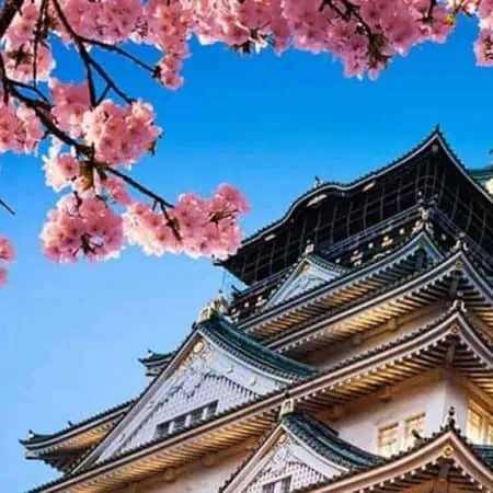 Japanese Economy Stronger Than Anticipated in Q3