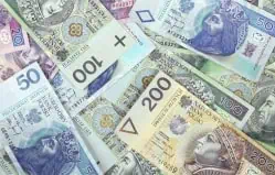 polish zloty